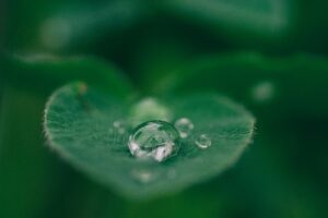 Sustainability in retail