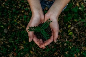 eco-friendly eCommerce
